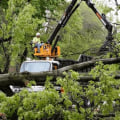 How Tree Care Services Help Minimize Storm-Related Structural Damage