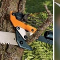 How to Choose the Best Pole Saw for Tree Trimming