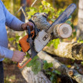 Proper Techniques for Safe and Effective Tree Felling