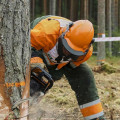 Storm Ready: How Proactive Tree Care Services Safeguard Homes In Marion, NC