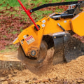 Uncovering The Importance Of Root Collar Excavation For Healthy Trees: A Guide To Tree Care Services