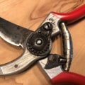 Everything You Need to Know About Pruning Shears
