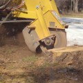 The Ins and Outs of Stump Grinders