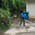 Tree Care Services Insights for Properties That Use Pressure Washing Services