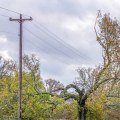 Working Near Power Lines: Tips for Tree Trimming and Safety Precautions