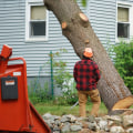 Clearing the Surrounding Area: Safety Precautions for Tree Removal