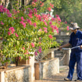Essential Factors To Consider When Hiring The Best Tree Care Services In St. Louis