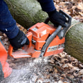 Reliable Tree Care Services in Greater Philadelphia