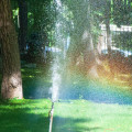 Reviving Roots: Sprinkler System Head Repair For Vibrant Tree Care Services In Omaha