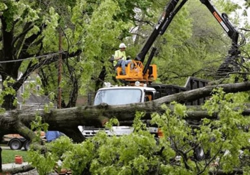 How Tree Care Services Help Minimize Storm-Related Structural Damage
