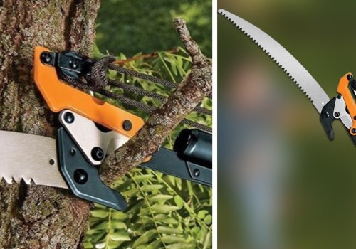 How to Choose the Best Pole Saw for Tree Trimming