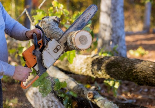 Proper Techniques for Safe and Effective Tree Felling