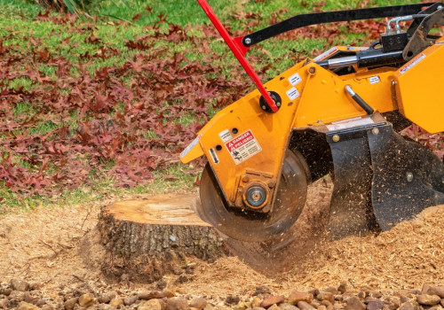Uncovering The Importance Of Root Collar Excavation For Healthy Trees: A Guide To Tree Care Services