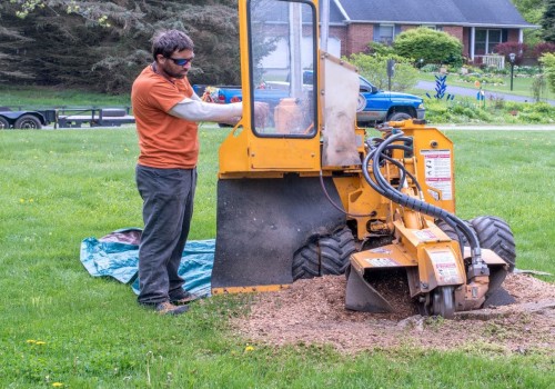 Discover the Power of Chemical Removal for Tree Removal