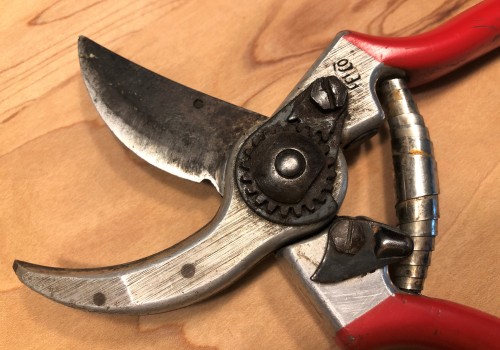 Everything You Need to Know About Pruning Shears