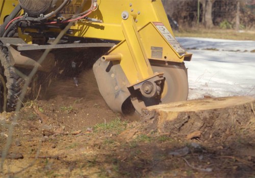 The Ins and Outs of Stump Grinders