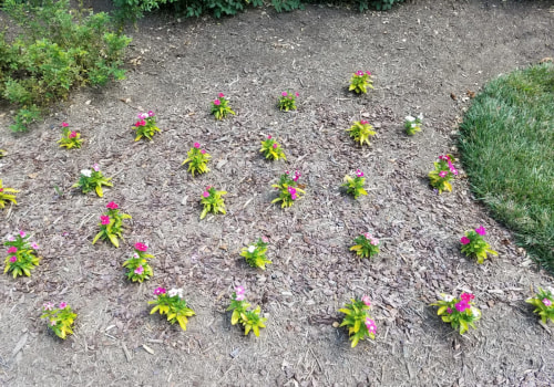 How To Choose The Best Emergency Lawn Care Company In Northern Virginia For Your Tree Care Services Needs