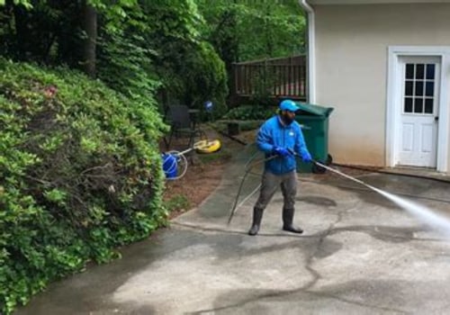 Tree Care Services Insights for Properties That Use Pressure Washing Services