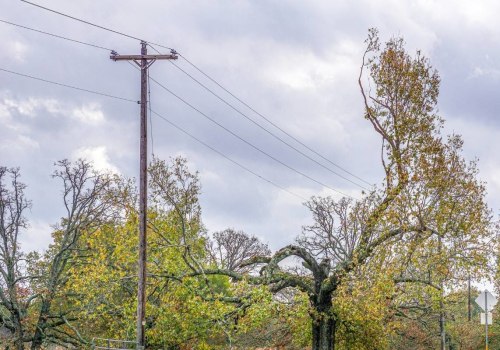 Working Near Power Lines: Tips for Tree Trimming and Safety Precautions