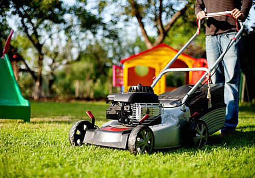 The Ultimate Guide To Tree Care Services In New Hampshire: Keeping Your Yard Healthy And Mosquito-Free
