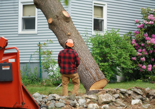 Clearing the Surrounding Area: Safety Precautions for Tree Removal