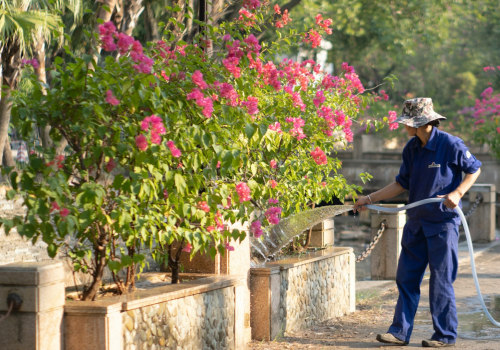 Essential Factors To Consider When Hiring The Best Tree Care Services In St. Louis