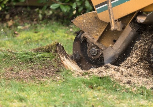 How to Effectively Remove Tree Stumps and Improve Your Yard