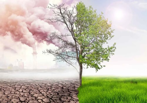The Overlooked Impact of Tree Canopy Density on Energy Costs and Comfort