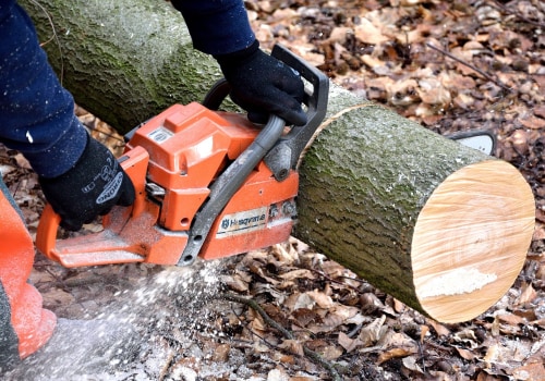 Reliable Tree Care Services in Greater Philadelphia