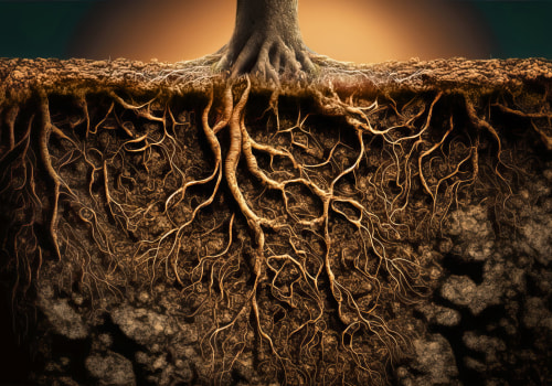Rooted in Safety and Beauty: Why Tree Care Services Matter